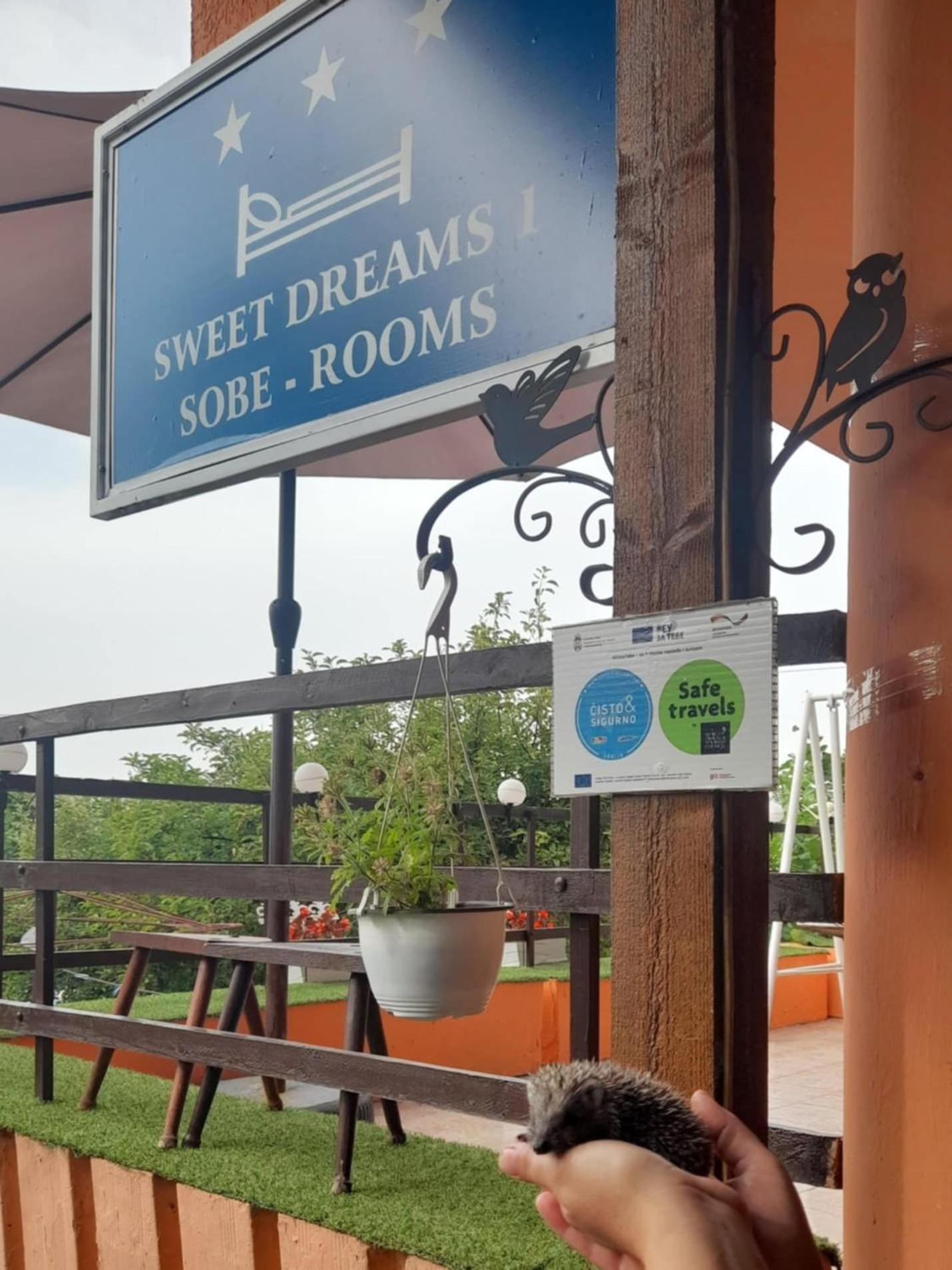 Appartamento Sweet Dreams Zaječar Esterno foto